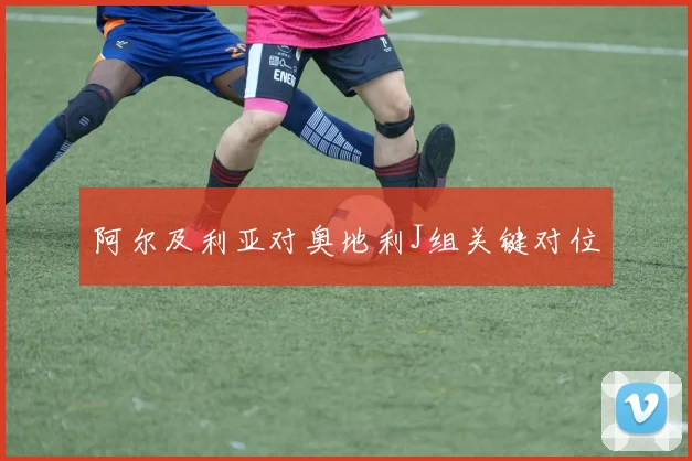阿尔及利亚对奥地利J组关键对位