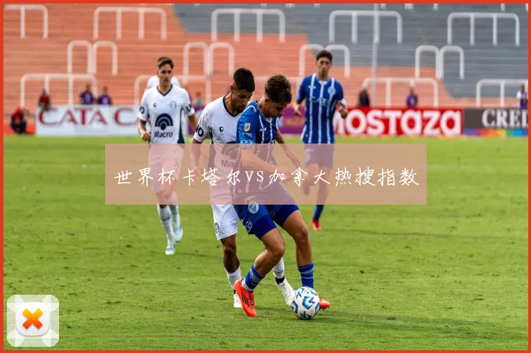 世界杯卡塔尔vs加拿大热搜指数