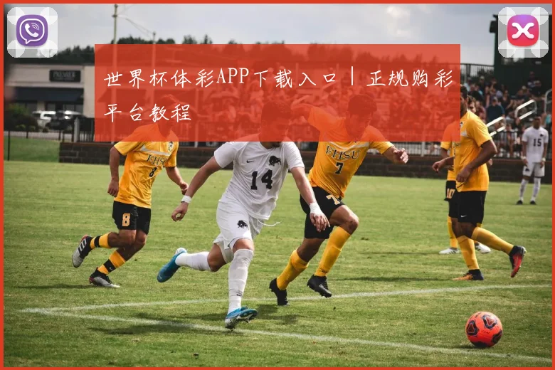 世界杯体彩APP下载入口｜正规购彩平台教程