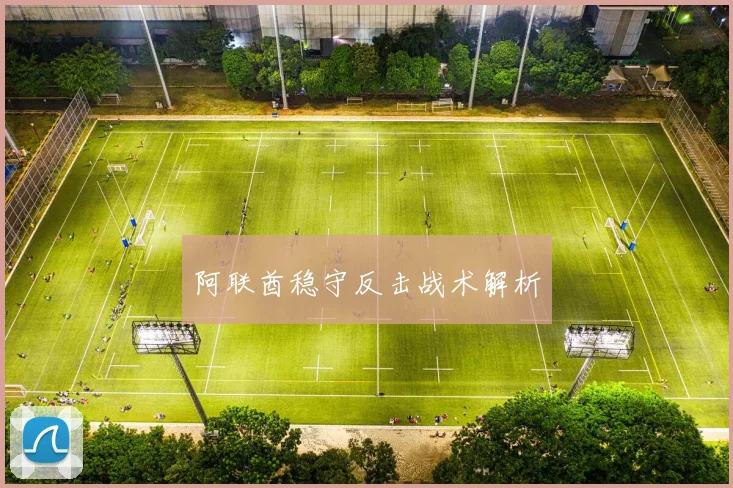 阿联酋稳守反击战术解析