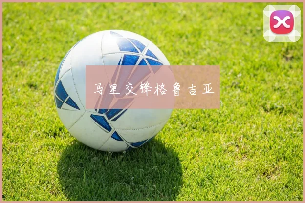 马里交锋格鲁吉亚