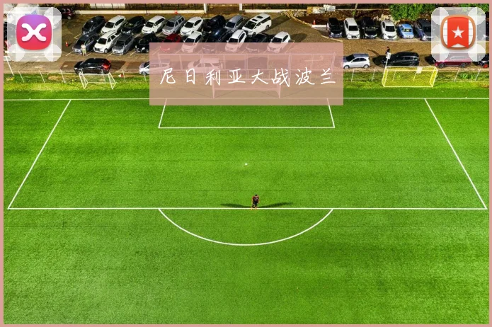 尼日利亚大战波兰