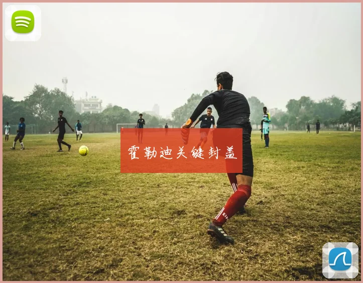 霍勒迪关键封盖