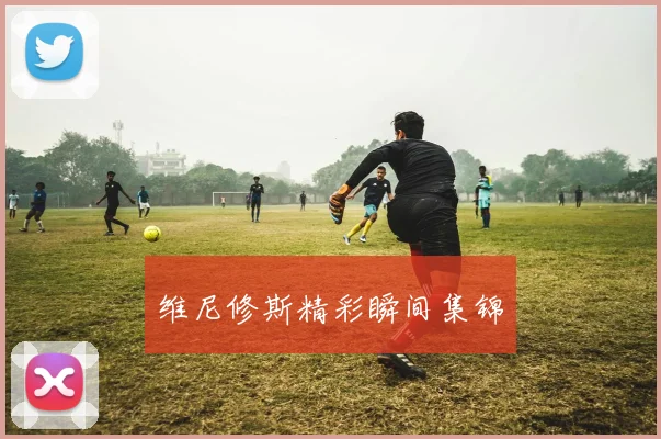 维尼修斯精彩瞬间集锦