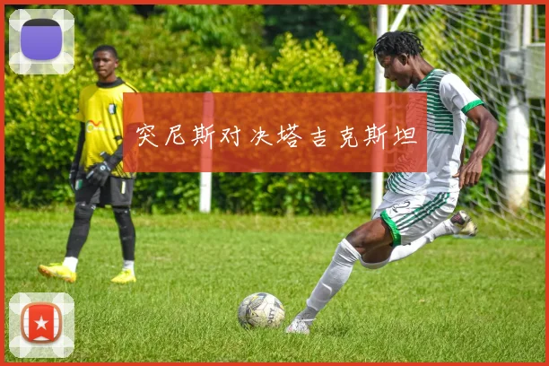 突尼斯对决塔吉克斯坦