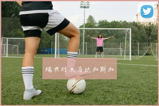瑞典对决马达加斯加