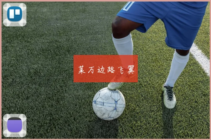 莱万边路飞翼