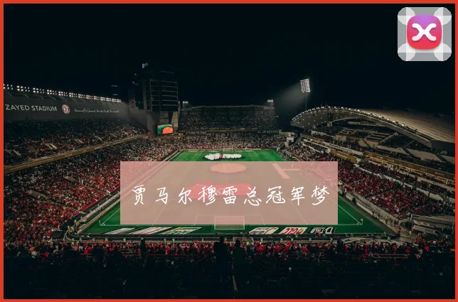 贾马尔穆雷总冠军梦