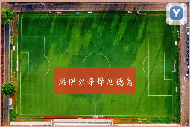 诺伊尔争锋厄德高