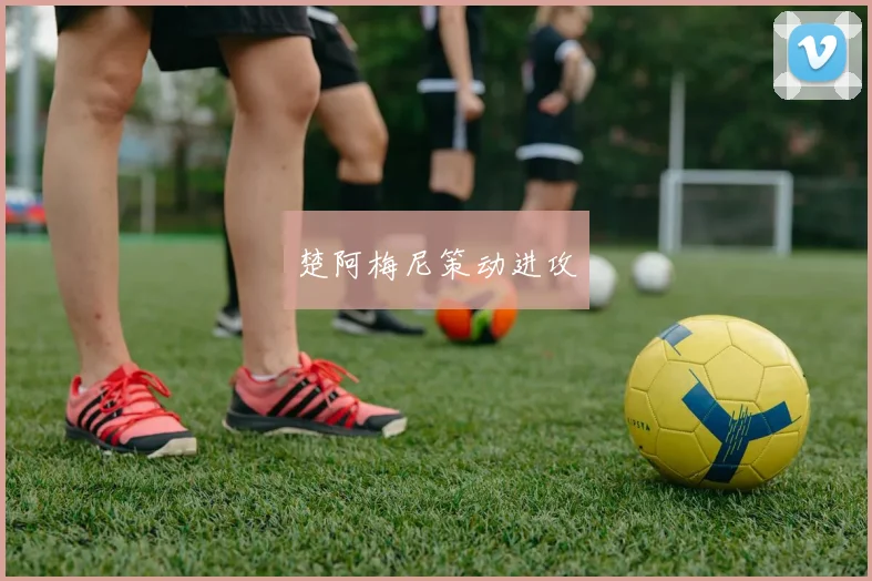 楚阿梅尼策动进攻