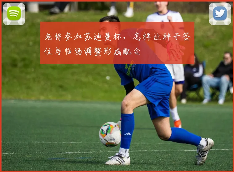 老将参加苏迪曼杯，怎样让种子签位与临场调整形成配合