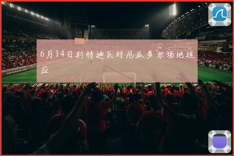 6月14日科特迪瓦对厄瓜多尔场地适应