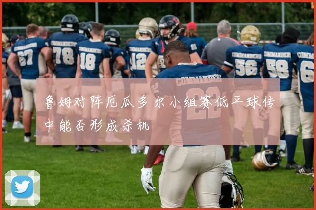 鲁姆对阵厄瓜多尔小组赛低平球传中能否形成杀机