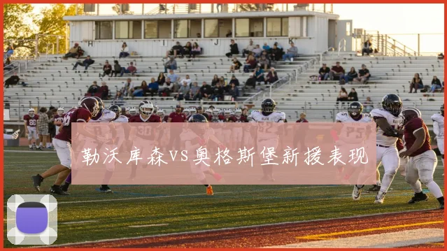 勒沃库森vs奥格斯堡新援表现