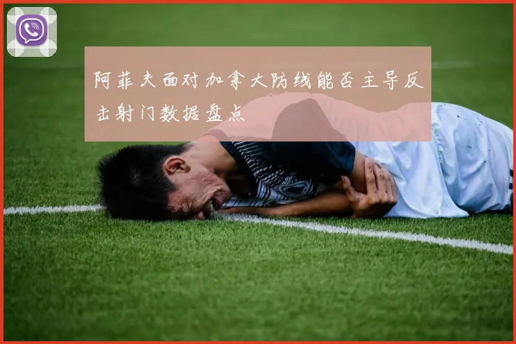 阿菲夫面对加拿大防线能否主导反击射门数据盘点